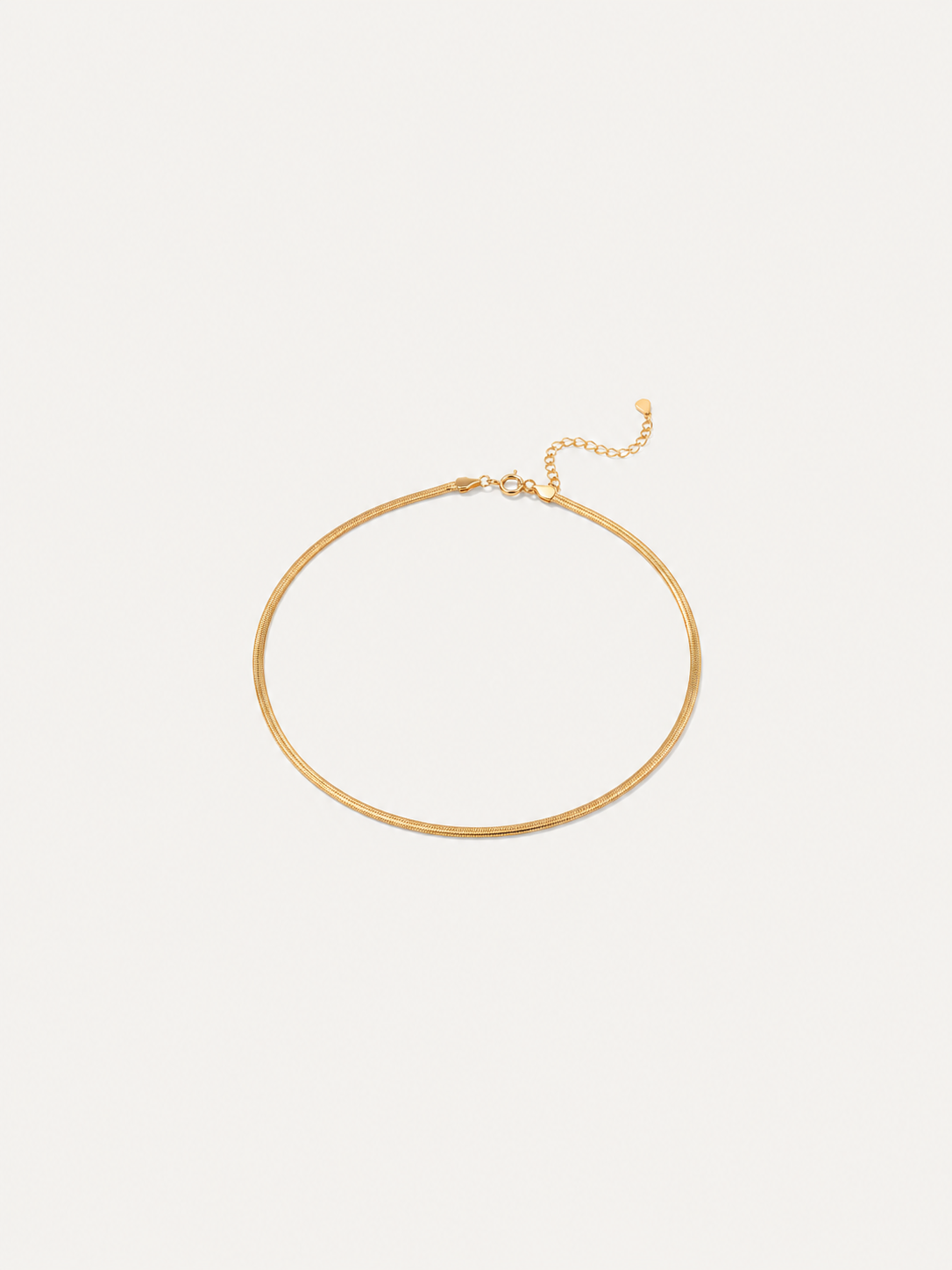 Aurelia Snake Chain Necklace Main image